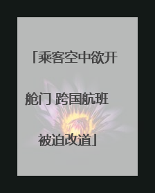 乘客空中欲开舱门 跨国航班被迫改道