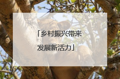 乡村振兴带来发展新活力
