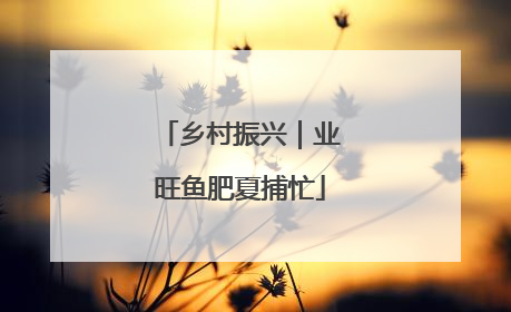 乡村振兴｜业旺鱼肥夏捕忙
