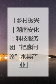 乡村振兴｜湖南安化：科技服务团“把脉问诊”水果产业