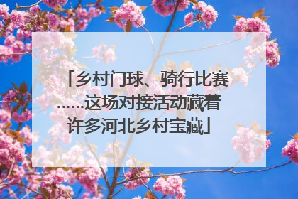 乡村门球、骑行比赛……这场对接活动藏着许多河北乡村宝藏
