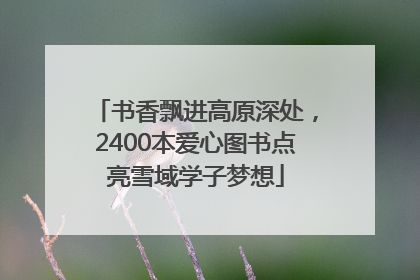 书香飘进高原深处，2400本爱心图书点亮雪域学子梦想