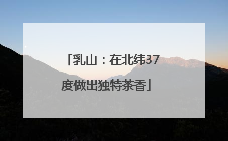 乳山：在北纬37度做出独特茶香