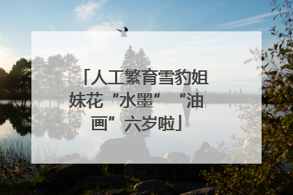 人工繁育雪豹姐妹花“水墨”“油画”六岁啦