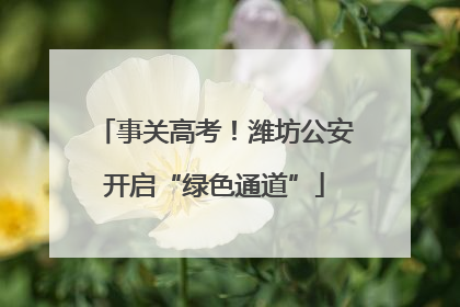 事关高考！潍坊公安开启“绿色通道”