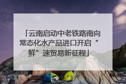 云南启动中老铁路南向常态化水产品进口开启“鲜”速贸易新征程