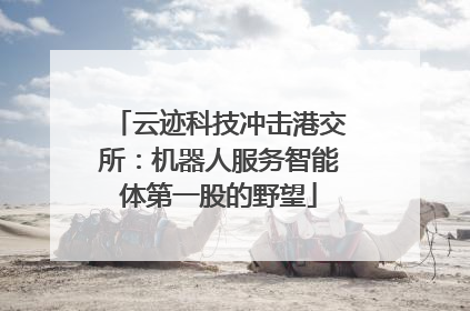 云迹科技冲击港交所：机器人服务智能体第一股的野望