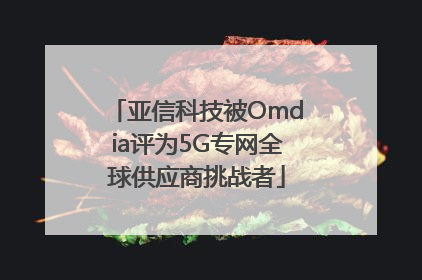 亚信科技被Omdia评为5G专网全球供应商挑战者