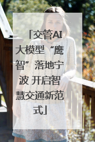 交管AI大模型“鹰智”落地宁波 开启智慧交通新范式