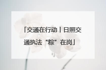 交通在行动丨日照交通执法“粽”在岗