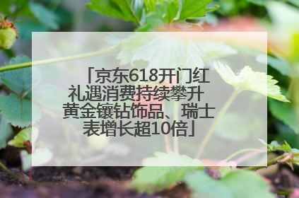京东618开门红礼遇消费持续攀升 黄金镶钻饰品、瑞士表增长超10倍