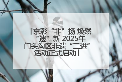 京彩“非”扬 焕然“遗”新 2025年门头沟区非遗“三进”活动正式启动