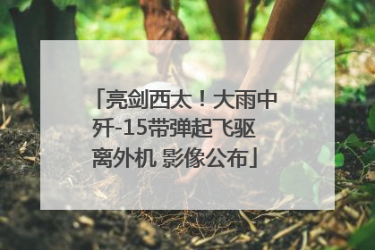 亮剑西太！大雨中歼-15带弹起飞驱离外机 影像公布