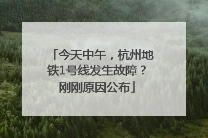 今天中午，杭州地铁1号线发生故障？刚刚原因公布