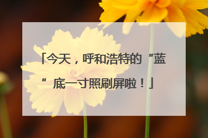 今天，呼和浩特的“蓝”底一寸照刷屏啦！