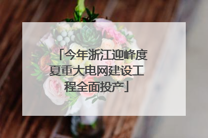 今年浙江迎峰度夏重大电网建设工程全面投产