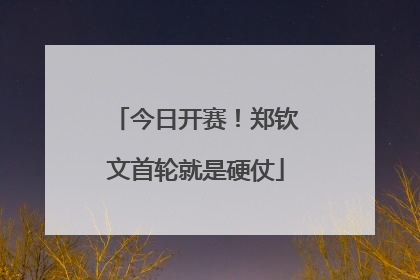 今日开赛！郑钦文首轮就是硬仗
