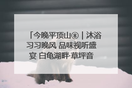 今晚平顶山⑧｜沐浴习习晚风 品味视听盛宴 白龟湖畔·草坪音乐会激情上演