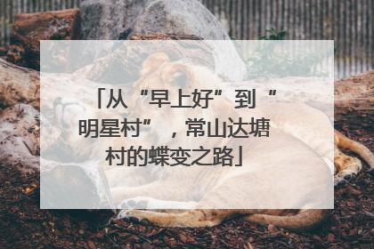 从“早上好”到“明星村”，常山达塘村的蝶变之路