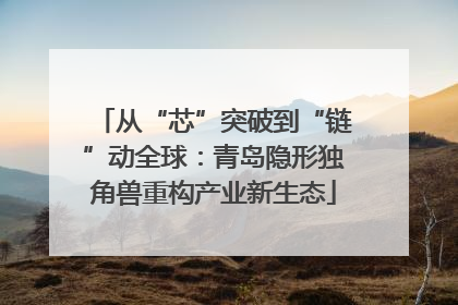 从“芯”突破到“链”动全球：青岛隐形独角兽重构产业新生态