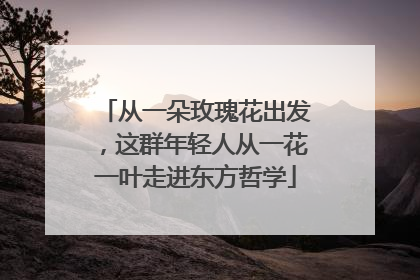 从一朵玫瑰花出发，这群年轻人从一花一叶走进东方哲学
