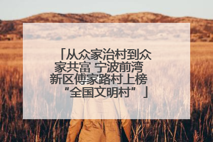 从众家治村到众家共富 宁波前湾新区傅家路村上榜“全国文明村”