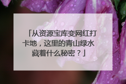 从资源宝库变网红打卡地，这里的青山绿水藏着什么秘密？