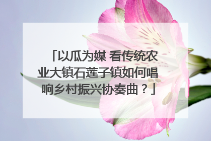 以瓜为媒 看传统农业大镇石莲子镇如何唱响乡村振兴协奏曲？