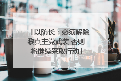 以防长：必须解除黎真主党武装 否则将继续采取行动