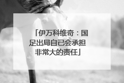 伊万科维奇：国足出局自己会承担非常大的责任