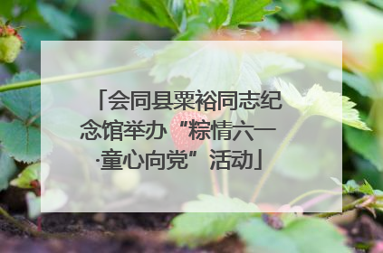 会同县粟裕同志纪念馆举办“粽情六一·童心向党”活动