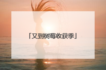 又到树莓收获季