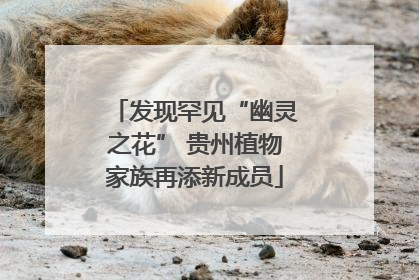 发现罕见“幽灵之花” 贵州植物家族再添新成员