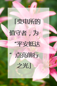 变电所的值守者，为“平安抵达”点亮前行之光