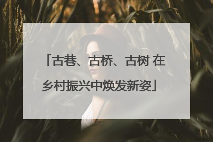 古巷、古桥、古树 在乡村振兴中焕发新姿