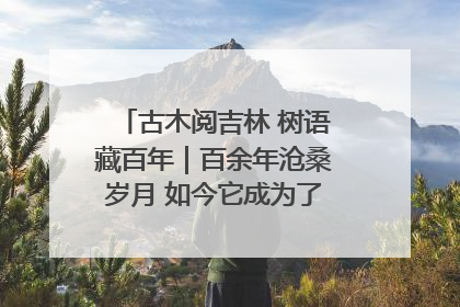 古木阅吉林 树语藏百年｜百余年沧桑岁月 如今它成为了“镇园之宝”