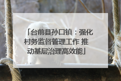 台前县孙口镇：强化村务监督管理工作 推动基层治理高效能