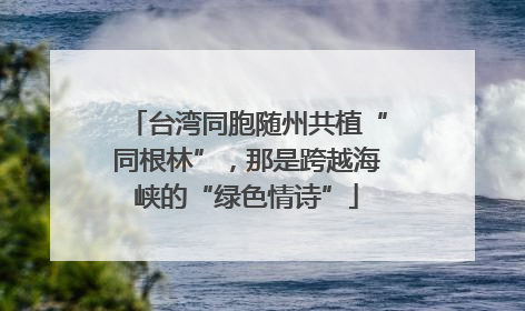 台湾同胞随州共植“同根林”，那是跨越海峡的“绿色情诗”