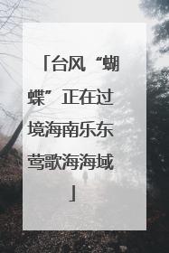 台风“蝴蝶”正在过境海南乐东莺歌海海域