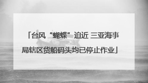 台风“蝴蝶”迫近 三亚海事局辖区货船码头均已停止作业