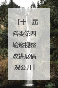 十一届省委第四轮巡视整改进展情况公开