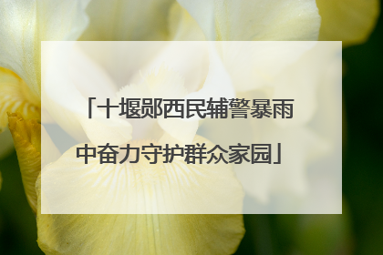 十堰郧西民辅警暴雨中奋力守护群众家园