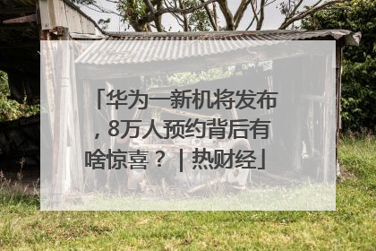 华为一新机将发布，8万人预约背后有啥惊喜？｜热财经