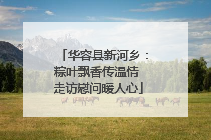 华容县新河乡：粽叶飘香传温情 走访慰问暖人心