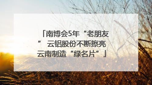 南博会5年“老朋友” 云铝股份不断擦亮云南制造“绿名片”