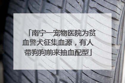 南宁一宠物医院为贫血警犬征集血源，有人带狗狗前来抽血配型