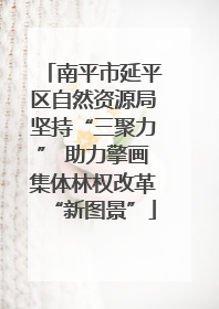 南平市延平区自然资源局坚持“三聚力” 助力擎画集体林权改革“新图景”