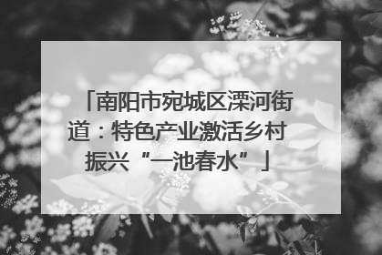 南阳市宛城区溧河街道：特色产业激活乡村振兴“一池春水”