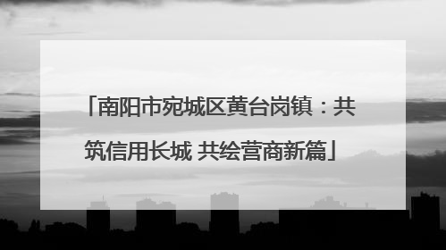 南阳市宛城区黄台岗镇：共筑信用长城 共绘营商新篇