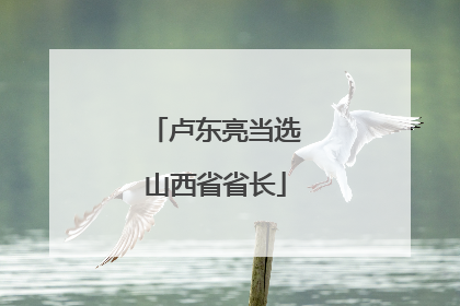 卢东亮当选山西省省长